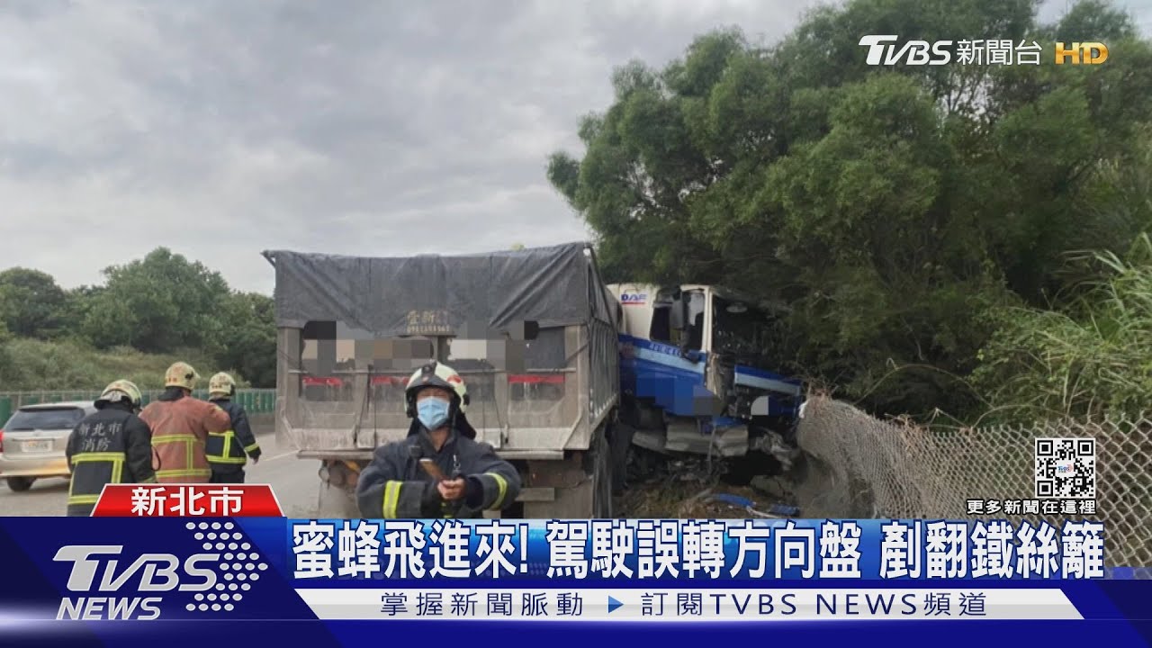 嗡嗡嗡!蜜蜂飛進砂石車 駕駛嚇歪撞護欄:牠在我頭上飛