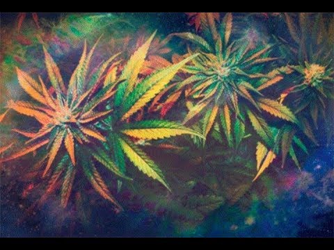 29_Studio&MJK_Rapy  TRYB POZITIVE _ 420