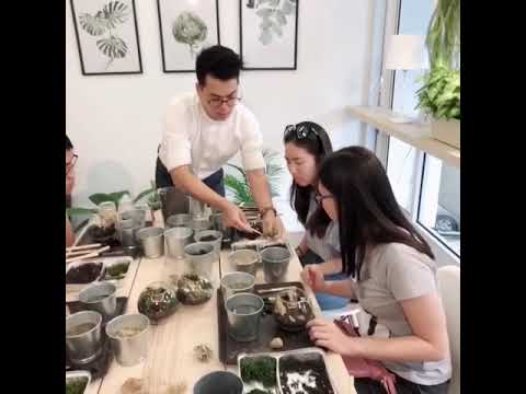 Oct 13th 2018 Terrarium Workshop