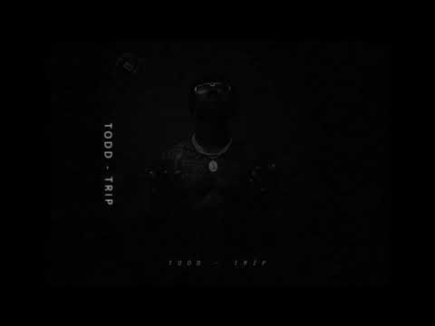 TRAP type beat Instrumental Hip Hop | 'Trip' prod. by TODD