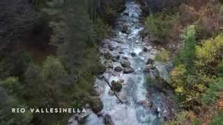 preview picture of video 'Like a river's Film : Fly Fishing Made in Italy - Alta Val Rendena'