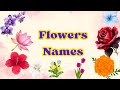 Flowers Vocabulary l Flowers Name In English With Pictures l Names of Different Flowers