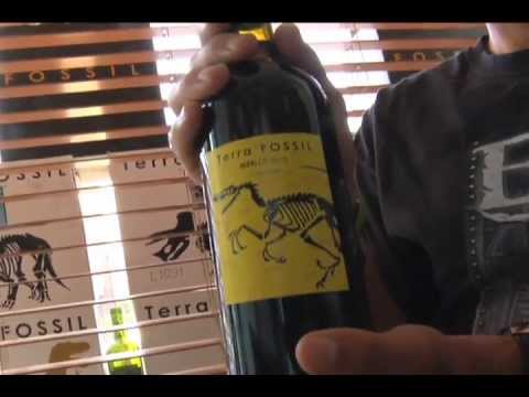 Terra Fossil Wine: The Art and Conversation of a Dinosaur Wine Label.