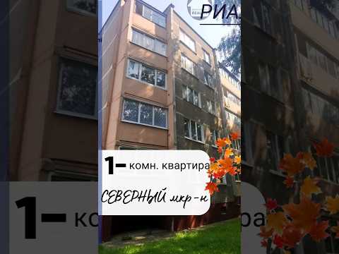 фото микрорайон северный, барановичи, брестская область, 1 комн., 37.5 м² 0