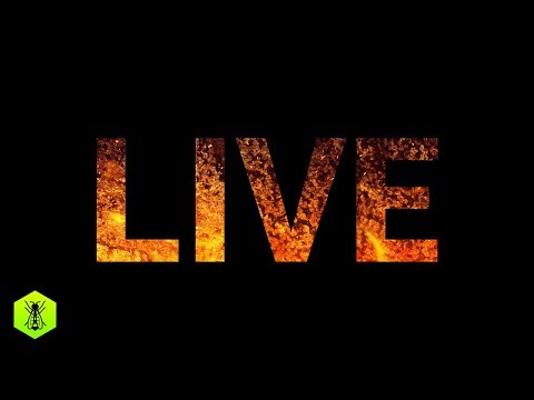 Song a Day Challenge (Live Stream Replay)