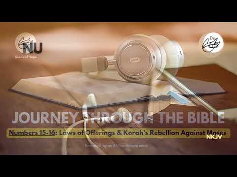 Day 65: NUMBERS 15-16 | LAWS of Offerings & KORAH'S Rebellion Against Moses | Audio Bible Reading