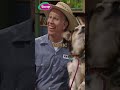 BINGO Was His Name 0 Songs For Kids