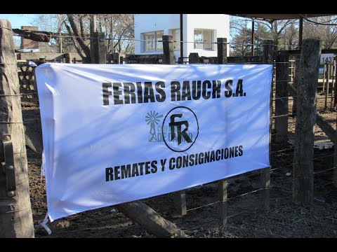 Resumen del remate de Ferias Rauch - jueves 15 de julio de 2021 - Rauch