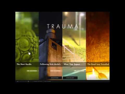 trauma pc game review