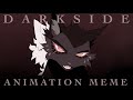 Neoni - DARKSIDE // Animation Meme