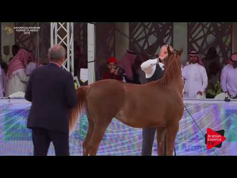 N.12 ABHA AL KHALEDIAH - Asharqia Classic 2018