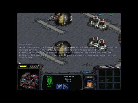Starcraft 1: Celestial Irruption 03 - Fata Viam Invenient