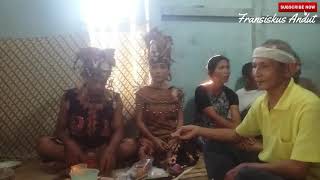 Download lagu ADAT PERNIKAHAN SUKU DAYAK-PERNIKAHAN MENURUT ADAT DAYAK KANAYATN (AHE) DIAWALI DENGAN 'NYANGAHATN' mp3