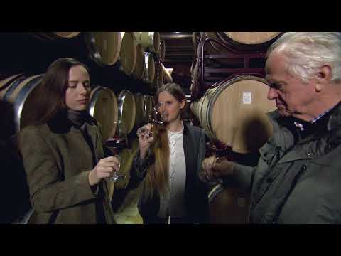 Weingut Vollmer Unternehmensfilm deutsch