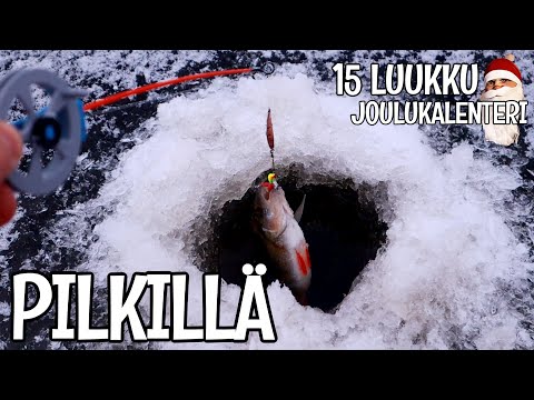 PILKITÄÄN AHVENIA MERELTÄ