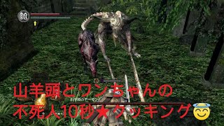 DARK SOULS REMASTERED.04