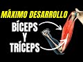 AUMENTAR BRAZOS con este ENTRENAMIENTO de BICEPS y TRICEPS