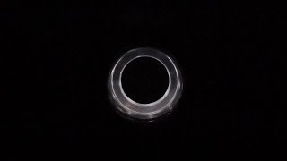 Revelations - The Pawnbroker