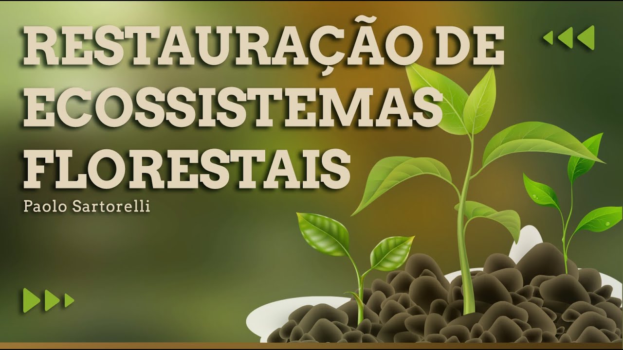 004 | Semeadura direta na Restauração ecológica | Restauração de ecossistemas florestais