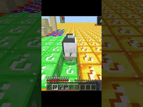 EPIC Minecraft Lucky Block and Rainbow Block Challenge!