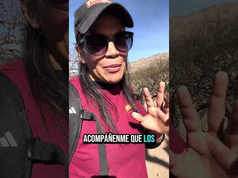 Los Castillos de Villa Vil ,Catamarca , 😍 Día 32  de 100 Viajando sola por 🇦🇷