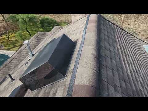 Home Invaded by Bats in Princeton, NJ