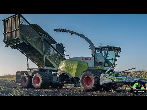 Claas Jaguar 960 Bunker forage Havester / Fieldshuttle mit Claas Orbis beim Mais häckseln 2015