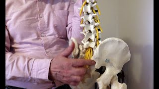 easy exercises can heal your lower back at home, an osteopath explains