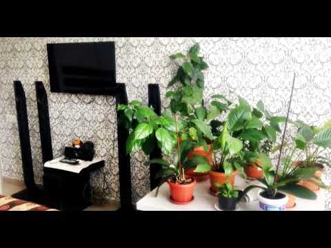 Apartments in Batumi, Georgia 64 m² - street Selim Khimshiashvili  | Real Estate in Batumi