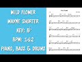 Wild Flower By Wayne Shorter - REAL Jazz Backing Track - Trio: Piano, Bass & Drums