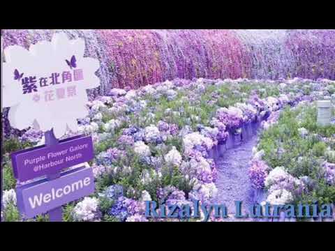 Purple Flower Galore/North Point | Rizalyn Lutrania