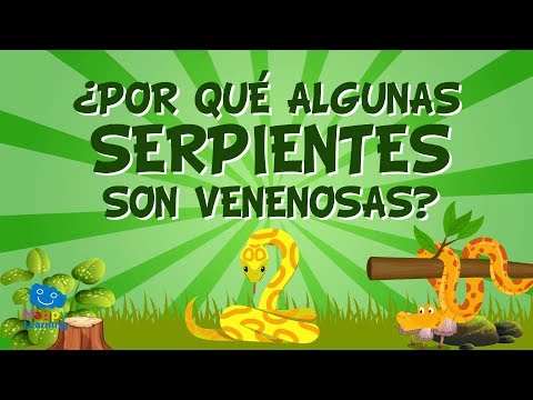 ¿POR QUÉ ALGUNAS SERPIENTES SON VENENOSAS? | CURIOSIDADES FASCINANTES PARA NIÑOS
