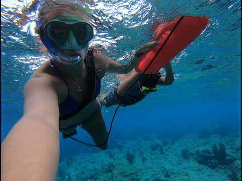 Our Road To A CAPTAINS License! Fun, Sun, and FISH S2:E20