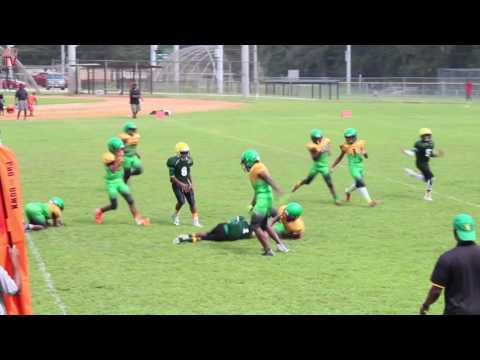 TwinSportsTV: Atlanta Ducks vs. Hapeville Hornets (12U Highlight Game)