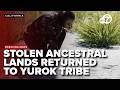 California’s Yurok Tribe gets back ancestral lands that were taken over 120 years ago