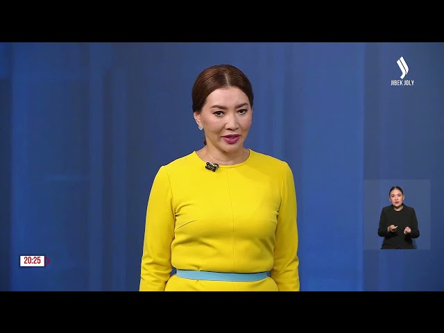 К. Токаев принял помощника Президента Узбекистана Саиду Мирзиёеву