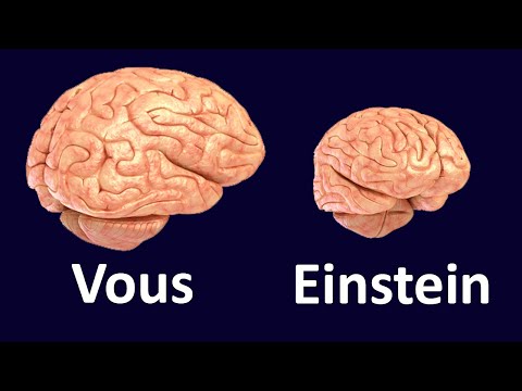 Why was Albert Einstein a genius?