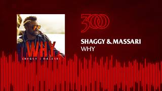 Shaggy &amp; Massari - Why | 300 Ent (Official Audio)