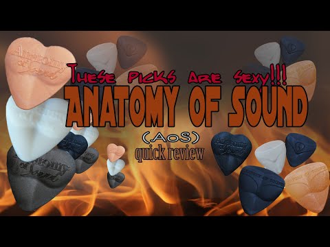 Quick Review of Anatomy of Sound (AoS) Picks