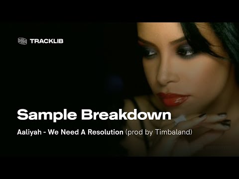 Sample Breakdown: Aaliyah - We Need A Resolution