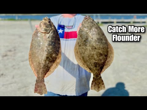 The Ultimate FLOUNDER FISHING Guide for Beginners! (How To)
