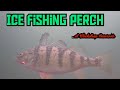 Video Thumbnail for Perch fishing | Blackstrap Reservoir  Sk. CAN