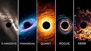 A Journey Through Every Type of Blackhole In The Universe