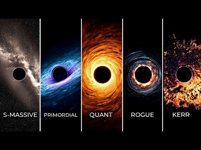 A Journey Through Every Type of Blackhole In The Universe