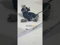 Goalies Live In Their Own World Hockey Icehockey Nhl Goalie Hockeymemes Shorts Foryou
