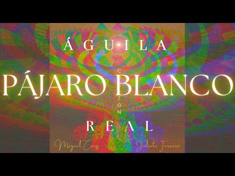 Águila Real - Pájaro Blanco