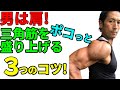 男は肩！三角筋をポコっと盛り上げる３つのコツ！肩は4方向から鍛えるとカッコよくなる！肩の筋トレ・トレーニング