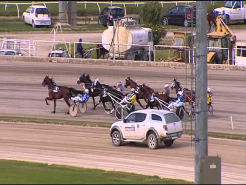 TROTTO 04/05/2016 - 5° Corsa 27 ° TROFEO GIANNI CAMPILI ROAD TO LOTTERIA