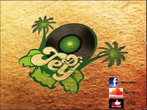 NEW DANCEHALL MIX 2016 (VYBZ KARTEL, TIANA, AREWHANA GANG, BOUNTY, ALKALINE, I OCTANE+++)