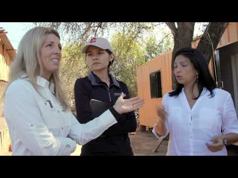 Эфирное масло гваякового дерева